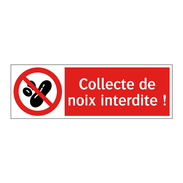 Collecte de noix interdite !