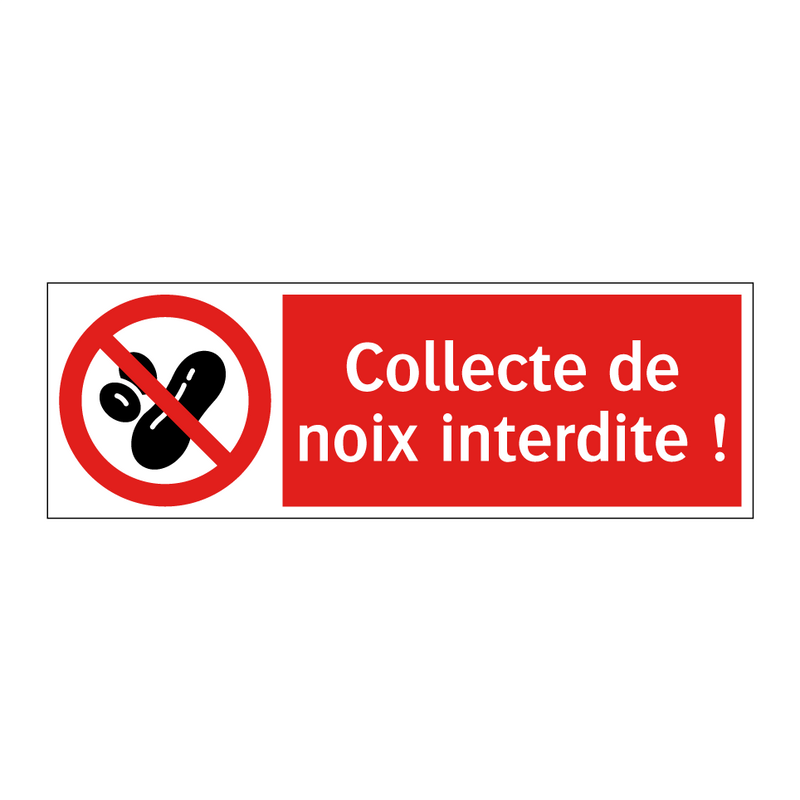 Collecte de noix interdite !