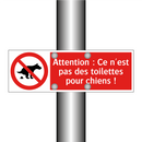 Attention : Ce n'est pas des toilettes pour chiens !