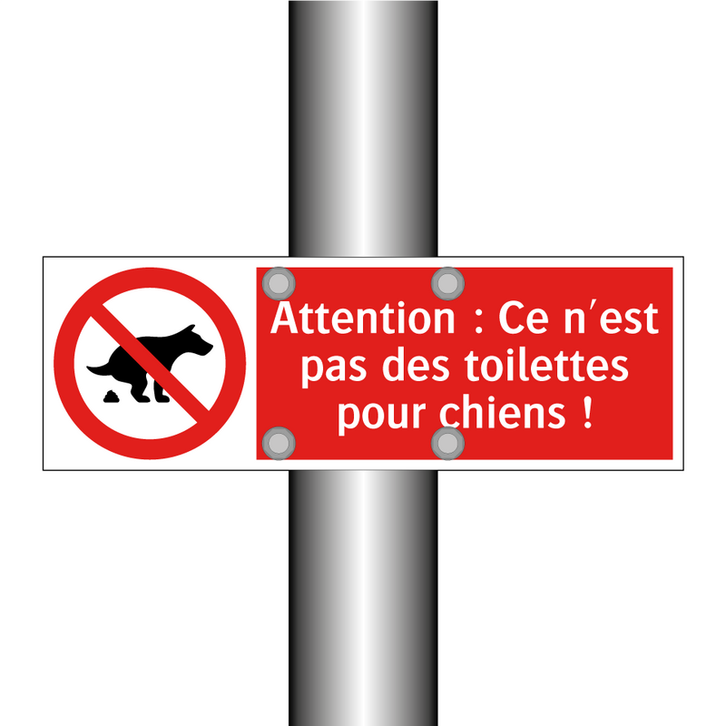 Attention : Ce n'est pas des toilettes pour chiens !