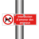 Interdiction d'amener des animaux