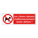 Les chiens doivent malheureusement rester dehors !