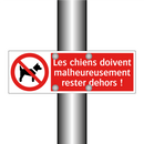 Les chiens doivent malheureusement rester dehors !