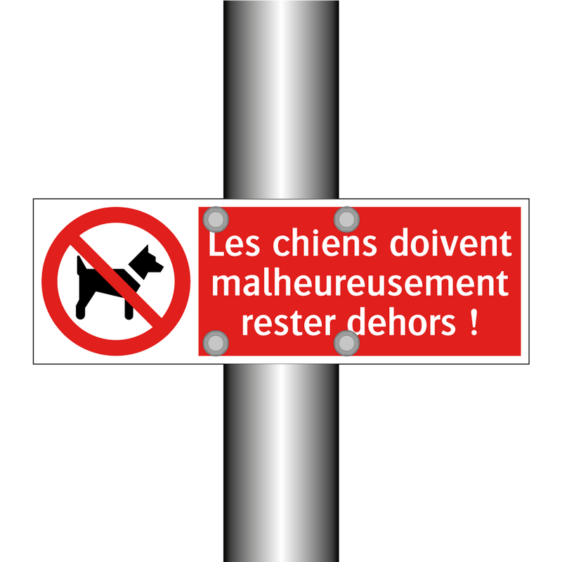 Les chiens doivent malheureusement rester dehors !