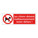 Les chiens doivent malheureusement rester dehors !