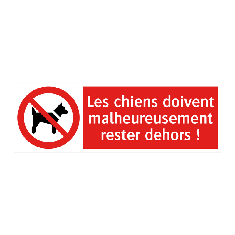 Les chiens doivent malheureusement rester dehors !