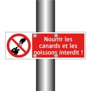 Nourrir les canards et les poissons interdit !