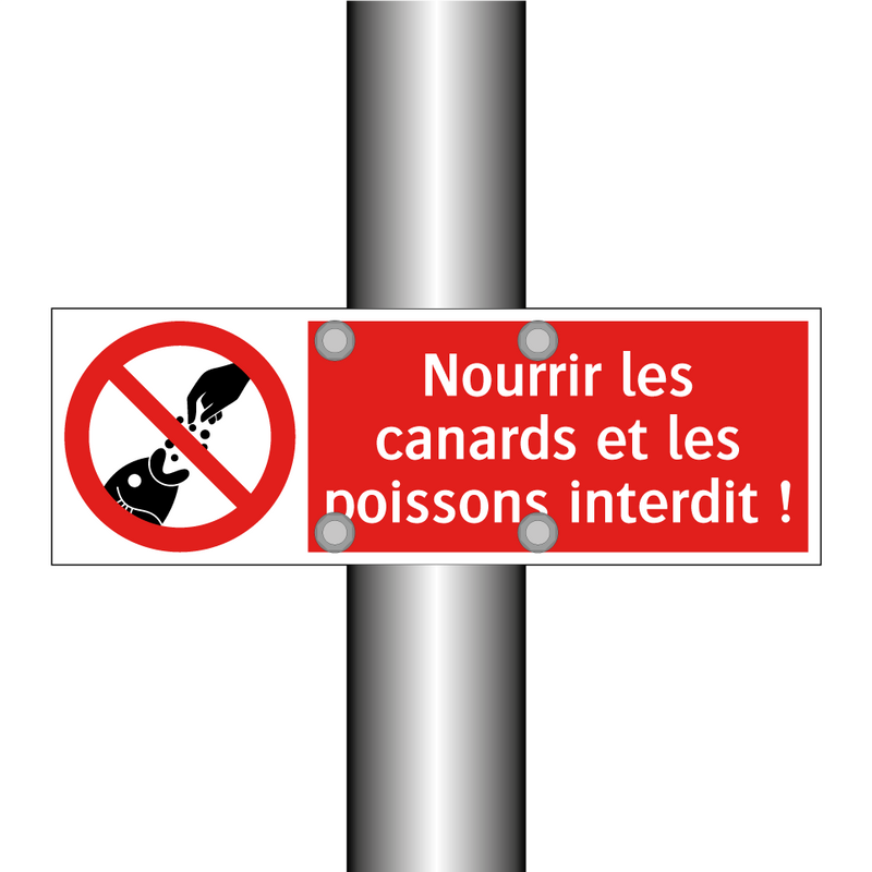 Nourrir les canards et les poissons interdit !