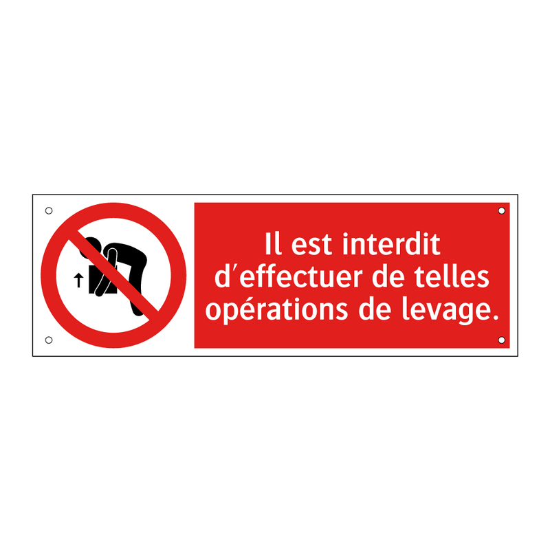 Il est interdit d'effectuer de telles opérations de levage.
