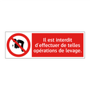 Il est interdit d'effectuer de telles opérations de levage.