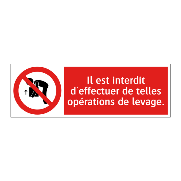 Il est interdit d'effectuer de telles opérations de levage.