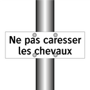 Ne pas caresser les chevaux