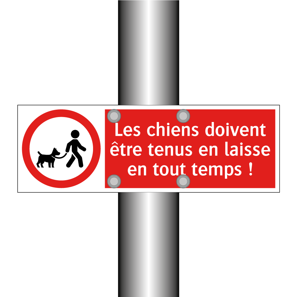 Les chiens doivent être tenus en laisse en tout temps !