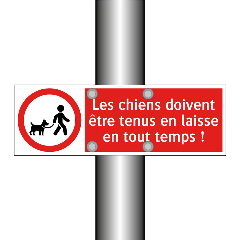 Les chiens doivent être tenus en laisse en tout temps !