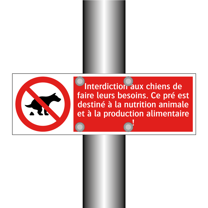 Interdiction aux chiens de faire leurs besoins. Ce pré est destiné à la nutrition animale et à la production alimentaire !