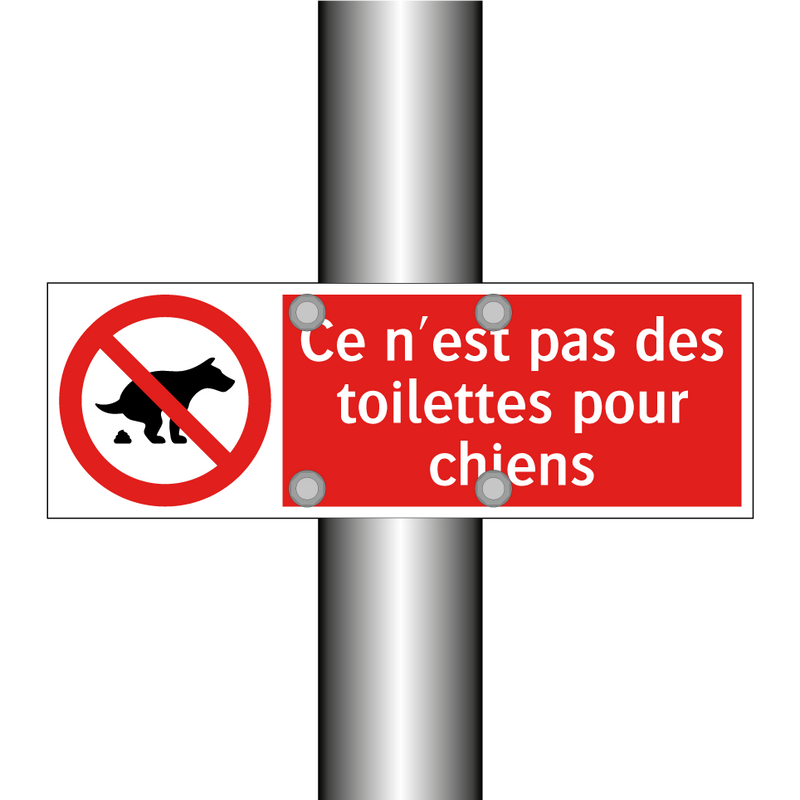 Ce n'est pas des toilettes pour chiens