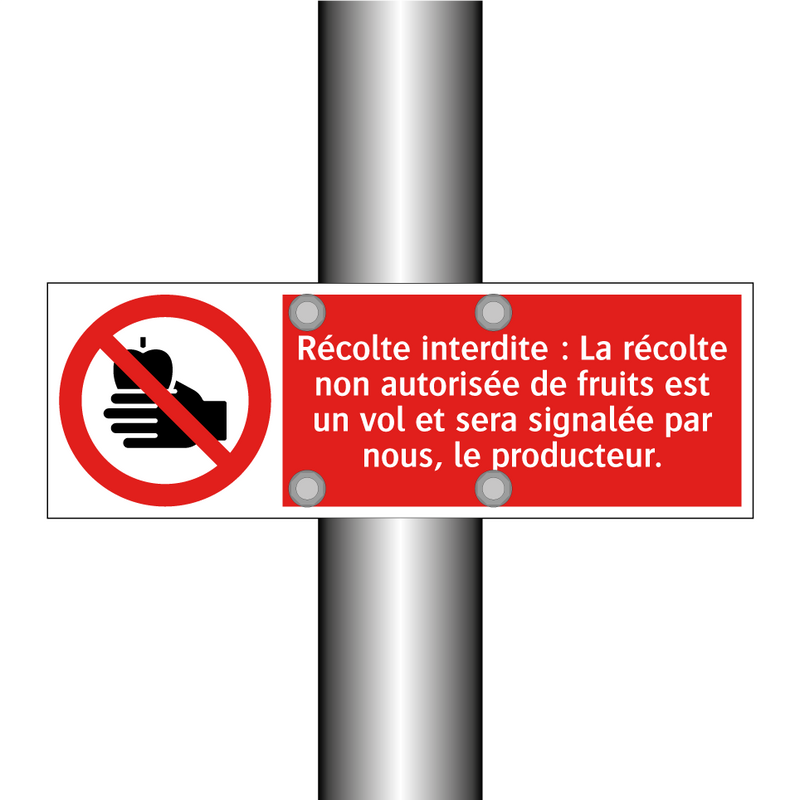 Récolte interdite : La récolte non autorisée de fruits est un vol et sera signalée par nous, le producteur.