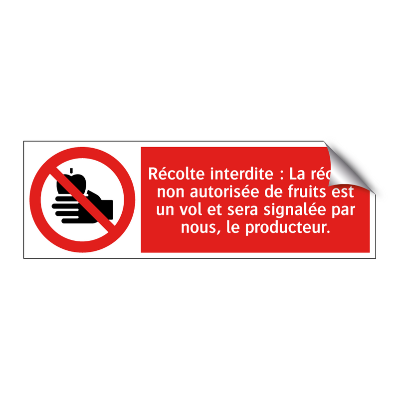 Récolte interdite : La récolte non autorisée de fruits est un vol et sera signalée par nous, le producteur.