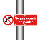 Ne pas nourrir les poules