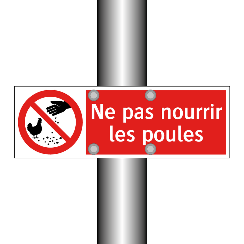 Ne pas nourrir les poules