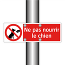 Ne pas nourrir le chien