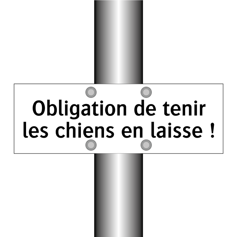 Obligation de tenir les chiens en laisse !