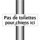 Pas de toilettes pour chiens ici