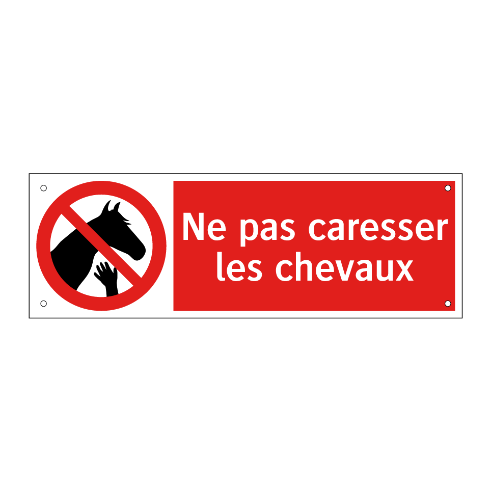 Ne pas caresser les chevaux