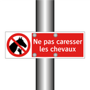 Ne pas caresser les chevaux