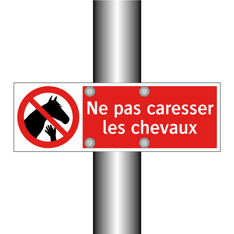 Ne pas caresser les chevaux