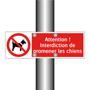 Attention ! Interdiction de promener les chiens
