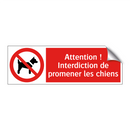 Attention ! Interdiction de promener les chiens
