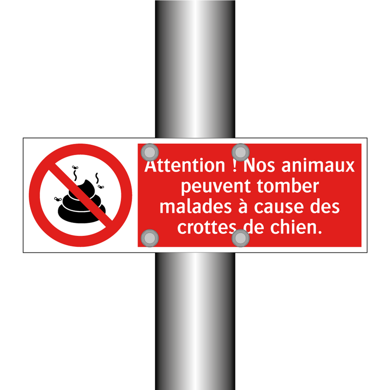 Attention ! Nos animaux peuvent tomber malades à cause des crottes de chien.