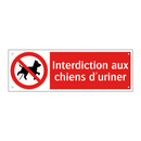 Interdiction aux chiens d'uriner