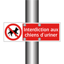 Interdiction aux chiens d'uriner
