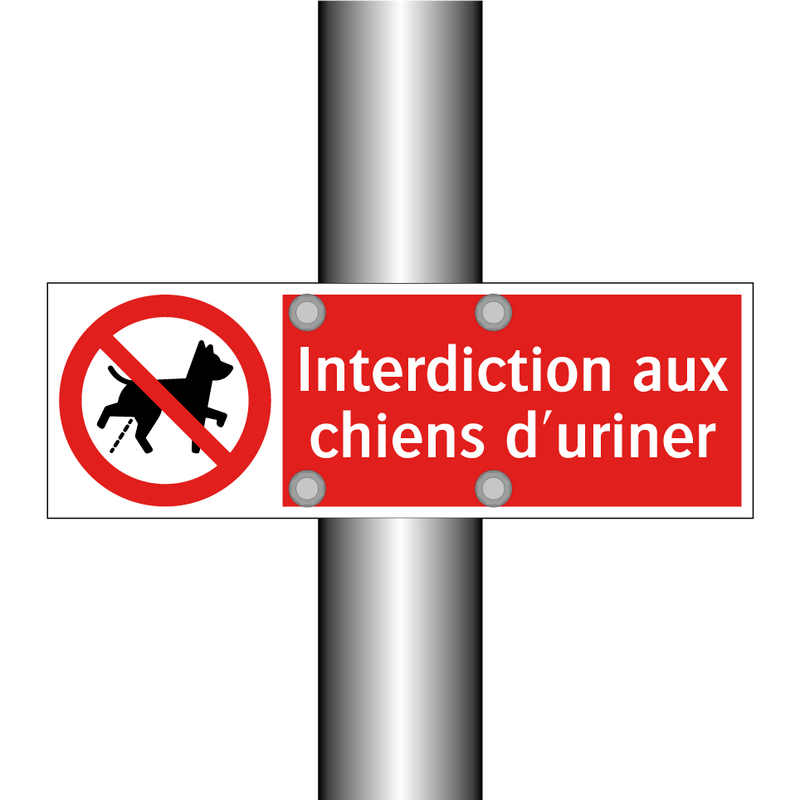 Interdiction aux chiens d'uriner