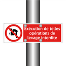 Exécution de telles opérations de levage interdite
