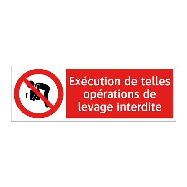Exécution de telles opérations de levage interdite