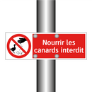 Nourrir les canards interdit