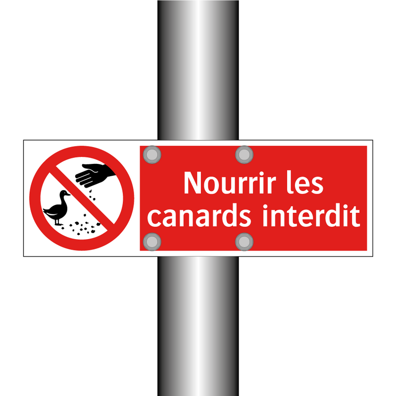 Nourrir les canards interdit