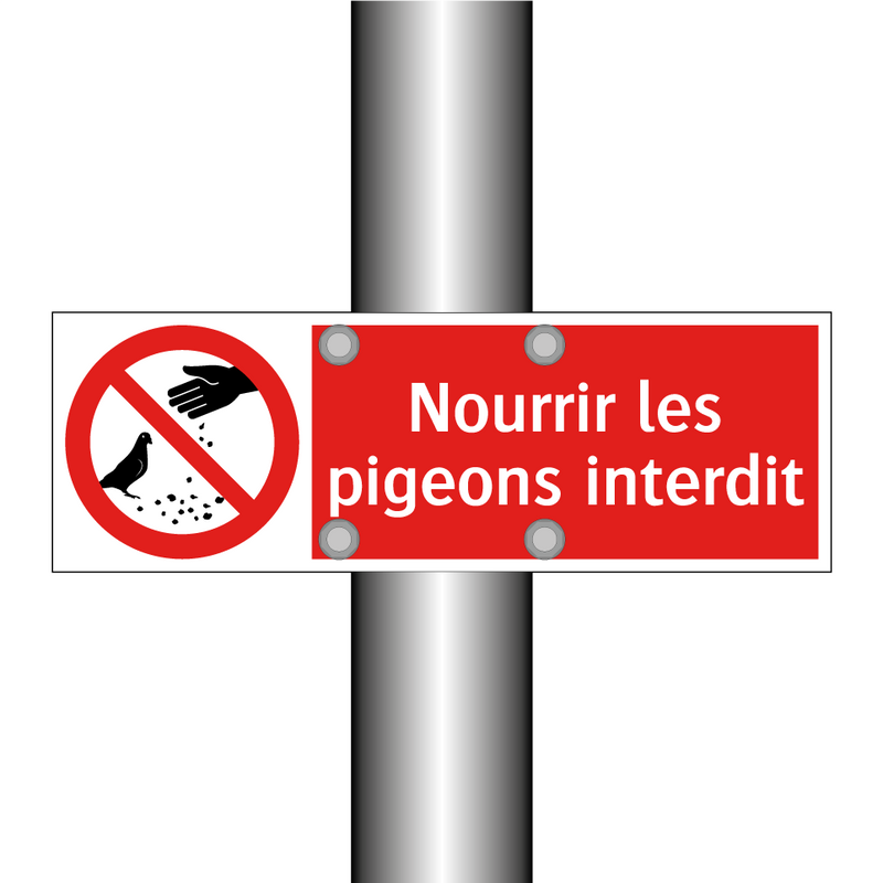 Nourrir les pigeons interdit