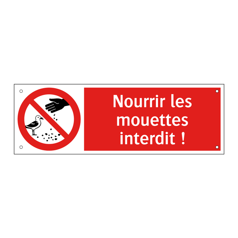 Nourrir les mouettes interdit !