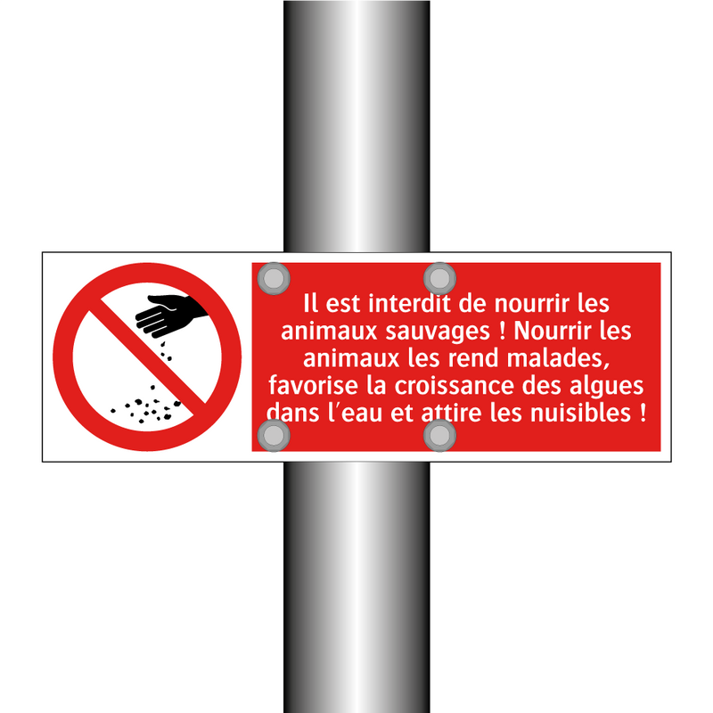 Il est interdit de nourrir les animaux sauvages ! Nourrir les animaux les rend malades, favorise la croissance des algues dans l'eau et attire les nuisibles !