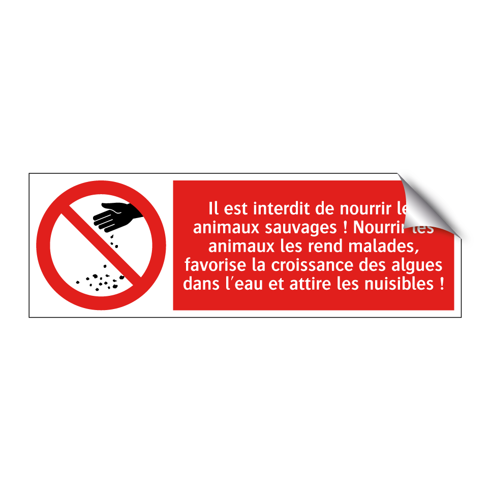 Il est interdit de nourrir les animaux sauvages ! Nourrir les animaux les rend malades, favorise la croissance des algues dans l'eau et attire les nuisibles !