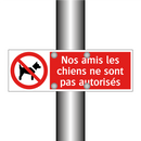 Nos amis les chiens ne sont pas autorisés