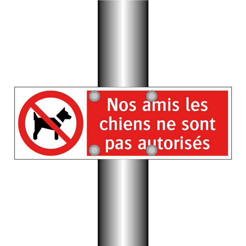 Nos amis les chiens ne sont pas autorisés