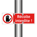 Récolte interdite !