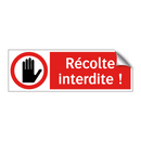 Récolte interdite !