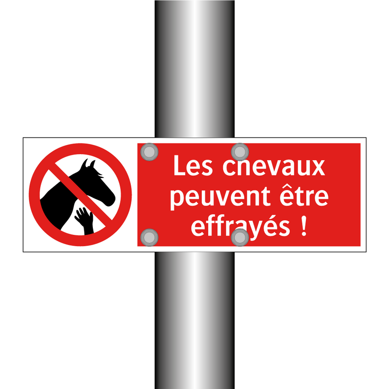 Les chevaux peuvent être effrayés !