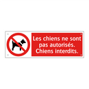 Les chiens ne sont pas autorisés. Chiens interdits.